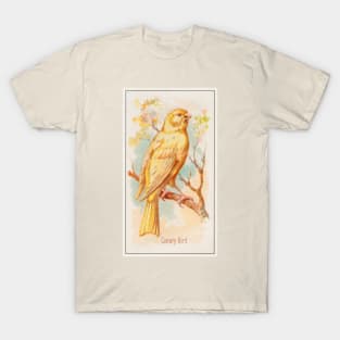 Canary Bird T-Shirt